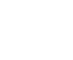 PioneerLogo-white